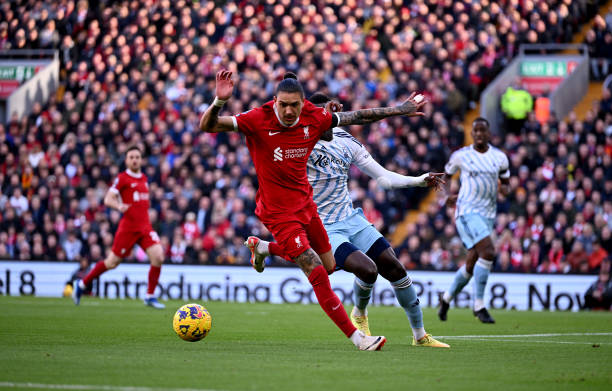 文化适应 文化适应