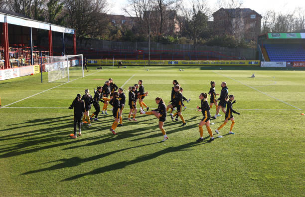 花的比赛中 花的比赛中